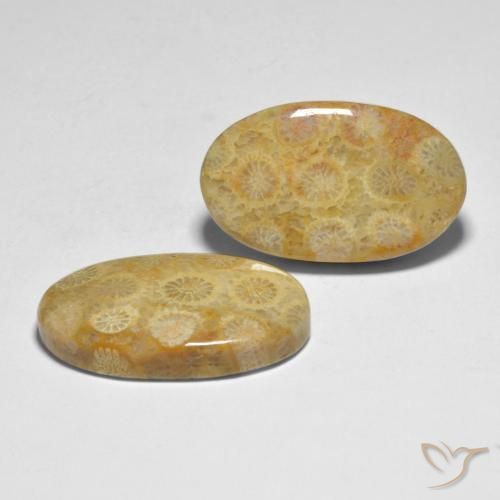 28.98 ct natürliche Mehrfarbig Koralle-Edelsteine, Oval, Lichtundurchlässig
