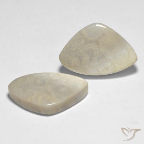 23.71 ct natürliche Mehrfarbig Koralle-Edelsteine, Fantasie, Lichtundurchlässig