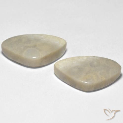 23.71 ct natürliche Mehrfarbig Koralle-Edelsteine, Fantasie, Lichtundurchlässig