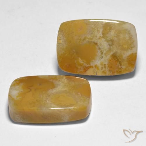 28.12 ct natürliche Mehrfarbig Koralle-Edelsteine, Kissen, Lichtundurchlässig