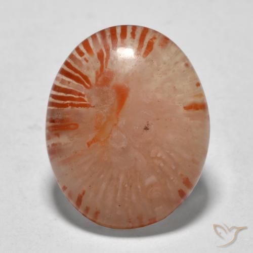 9.94ct Natürlicher Mehrfarbig Koralle, Oval, Lichtdurchlässig