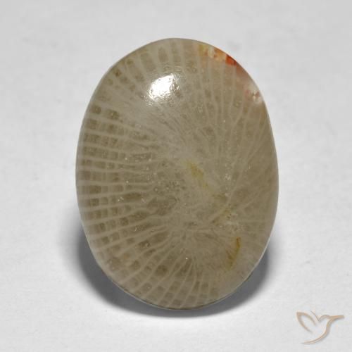 7.50ct Natürlicher Mehrfarbig Koralle, Oval, Lichtdurchlässig, Photo A