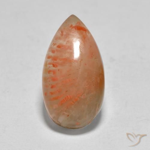 5.79ct Natürlicher Mehrfarbig Koralle, Birnenform, Lichtdurchlässig