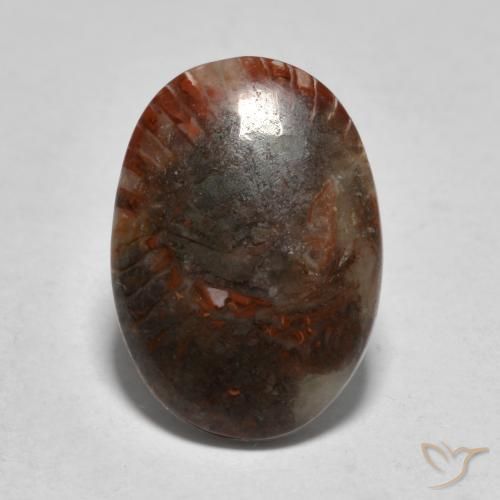 3.57ct Natürlicher Mehrfarbig Koralle, Oval, Lichtdurchlässig