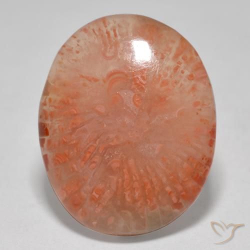 12.52ct Natürlicher Mehrfarbig Koralle, Oval, Lichtdurchlässig