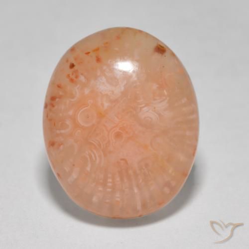 8.68ct Natürlicher Mehrfarbig Koralle, Oval, Lichtdurchlässig