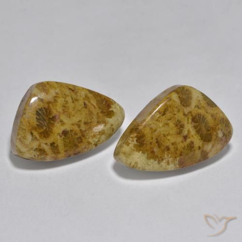16.29 ct natürliche Mehrfarbig Koralle-Edelsteine, Fantasie, Lichtundurchlässig