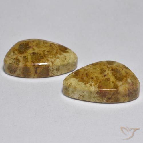 16.29 ct natürliche Mehrfarbig Koralle-Edelsteine, Fantasie, Lichtundurchlässig