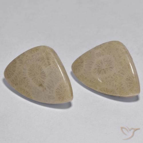 17.33 ct natürliche Mehrfarbig Koralle-Edelsteine, Fantasie, Lichtundurchlässig