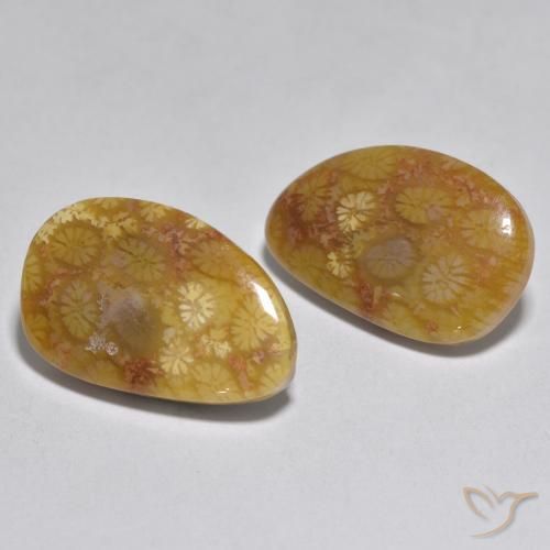 16.46 ct natürliche Mehrfarbig Koralle-Edelsteine, Fantasie, Lichtundurchlässig