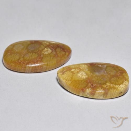 16.46 ct natürliche Mehrfarbig Koralle-Edelsteine, Fantasie, Lichtundurchlässig
