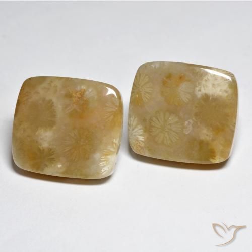 31.45 ct natürliche Mehrfarbig Koralle-Edelsteine, Kissen, Lichtundurchlässig
