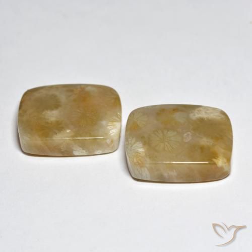 31.45 ct natürliche Mehrfarbig Koralle-Edelsteine, Kissen, Lichtundurchlässig