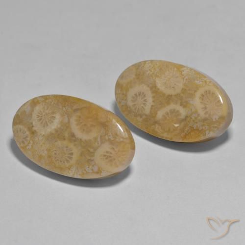 27.96 ct natürliche Mehrfarbig Koralle-Edelsteine, Oval, Lichtundurchlässig