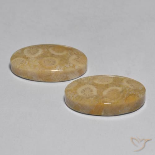 27.96 ct natürliche Mehrfarbig Koralle-Edelsteine, Oval, Lichtundurchlässig