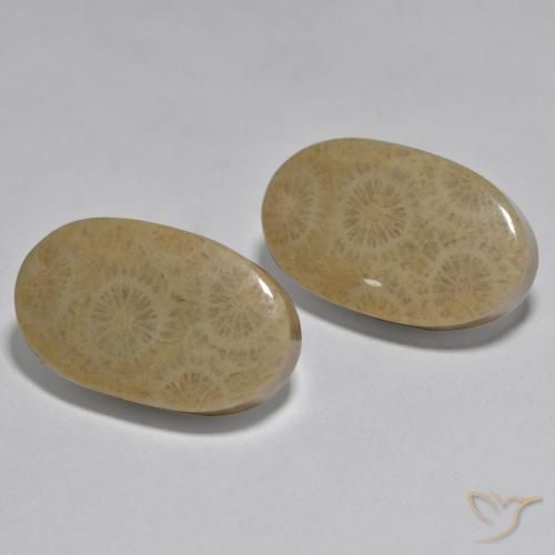 26.78 ct natürliche Mehrfarbig Koralle-Edelsteine, Oval, Lichtundurchlässig