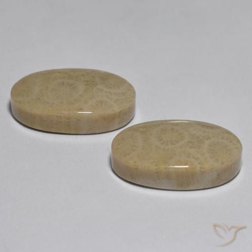 26.78 ct natürliche Mehrfarbig Koralle-Edelsteine, Oval, Lichtundurchlässig