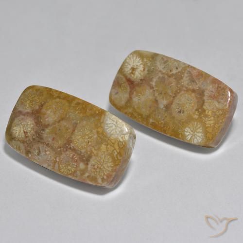 31.51 ct natürliche Mehrfarbig Koralle-Edelsteine, Kissen, Lichtundurchlässig