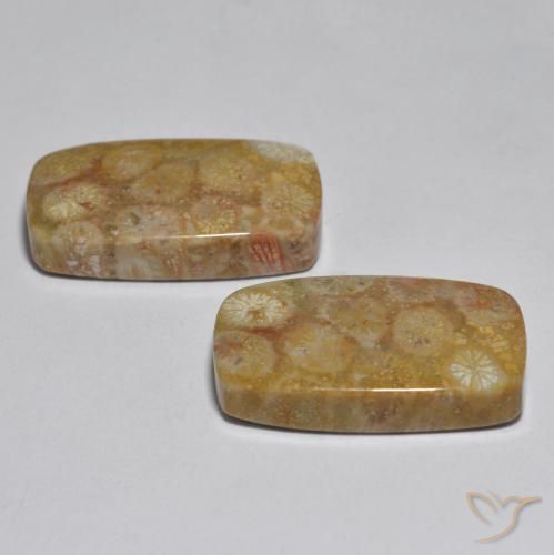 31.51 ct natürliche Mehrfarbig Koralle-Edelsteine, Kissen, Lichtundurchlässig