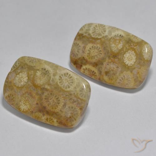 24.97 ct natürliche Mehrfarbig Koralle-Edelsteine, Kissen, Lichtundurchlässig