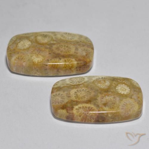24.97 ct natürliche Mehrfarbig Koralle-Edelsteine, Kissen, Lichtundurchlässig