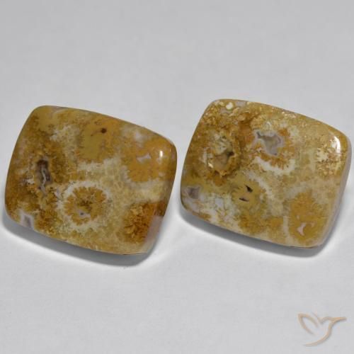 30.85 ct natürliche Mehrfarbig Koralle-Edelsteine, Kissen, Lichtundurchlässig