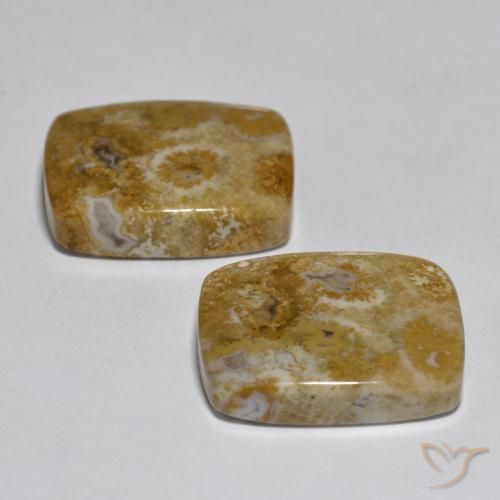30.85 ct natürliche Mehrfarbig Koralle-Edelsteine, Kissen, Lichtundurchlässig