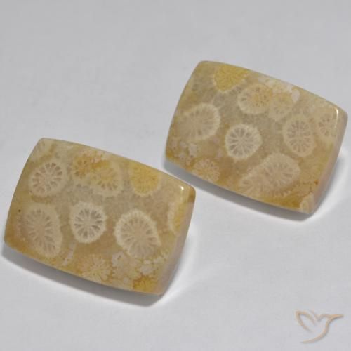 32.71 ct natürliche Mehrfarbig Koralle-Edelsteine, Kissen, Lichtundurchlässig