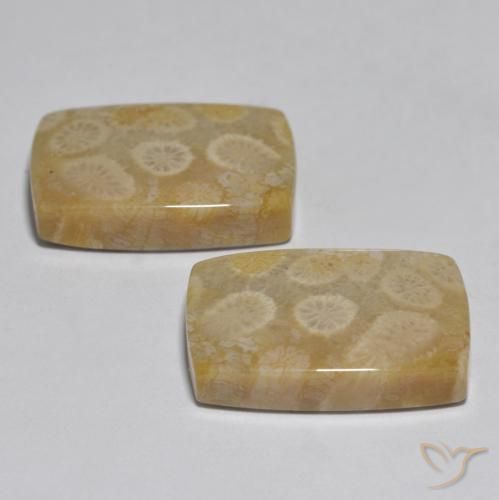 32.71 ct natürliche Mehrfarbig Koralle-Edelsteine, Kissen, Lichtundurchlässig