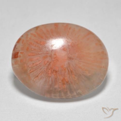 7.86ct Natürlicher Mehrfarbig Koralle, Oval, Lichtdurchlässig