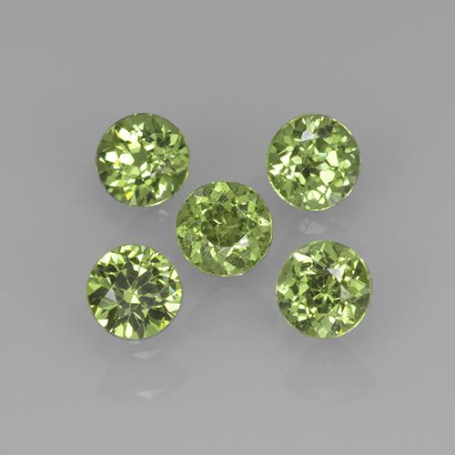 1,13 ct natürliche grüner Demantoid-Edelsteine, Rundschliff, VVS-VS