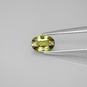 0,63 ctw natürlicher grüner Demantoid, Oval Schliff, VS