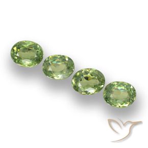 1.23 ct natürliche Warmes Grün Demantoider Granat-Edelsteine, Oval, VS