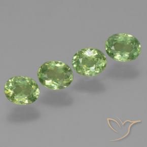 1.24 ct natürliche Mittelgrün Demantoider Granat-Edelsteine, Oval, VS