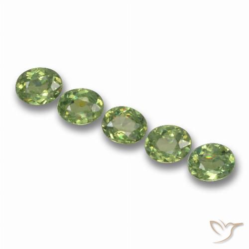 1.35ctw Natürlicher Waldgrün Demantoider Granat, Oval, VS