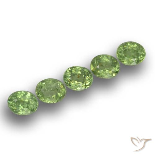 1.73 ct natürliche Waldgrün Demantoider Granat-Edelsteine, Oval, VS