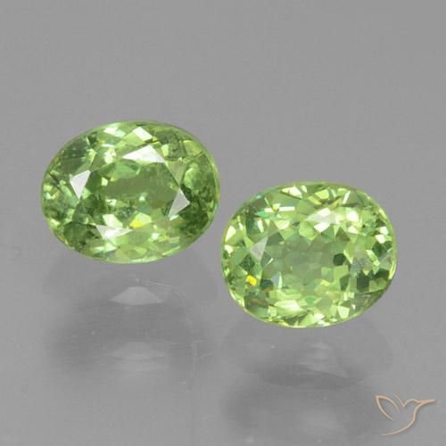 0.81 ct natürliche Warmes Grün Demantoider Granat-Edelsteine, Oval, VS-SI