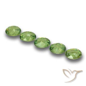 1.73 ct natürliche Mittelgrün Demantoider Granat-Edelsteine, Oval, VS