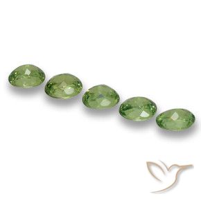 1.27 ct natürliche Mittelgrün Demantoider Granat-Edelsteine, Oval, VS