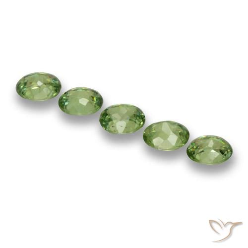 1.49 ct natürliche Warmes Grün Demantoider Granat-Edelsteine, Oval, VS