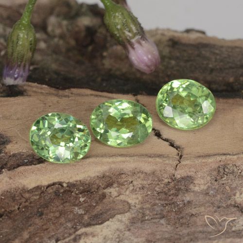 1.14ctw Natürlicher Waldgrün Demantoider Granat, Oval, VVS-VS