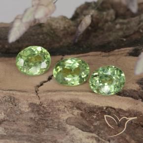 1.14 ct natürliche Waldgrün Demantoider Granat-Edelsteine, Oval, VVS-VS