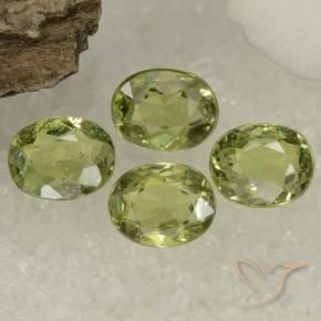 1.47 ct natürliche Olivgrün Demantoider Granat-Edelsteine, Oval, VS