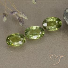 1.48 ct natürliche Olivgrün Demantoider Granat-Edelsteine, Oval, VS-SI