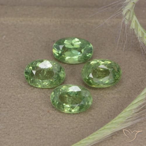 2.56ctw Natürlicher Waldgrün Demantoider Granat, Oval, VS-SI