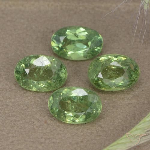 2.56 ct natürliche Waldgrün Demantoider Granat-Edelsteine, Oval, VS-SI