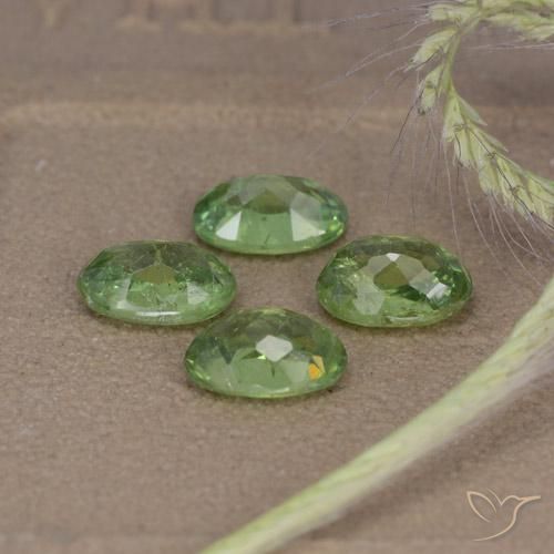 2.56 ct natürliche Waldgrün Demantoider Granat-Edelsteine, Oval, VS-SI