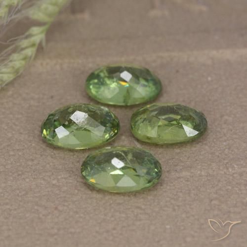 2.74 ct natürliche Mittelgrün Demantoider Granat-Edelsteine, Oval, VS