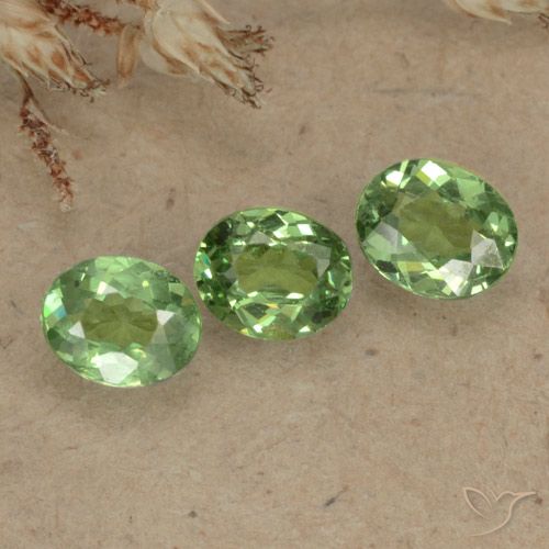 1.00ctw Natürlicher Helles Waldgrün Demantoider Granat, Oval, VS-SI
