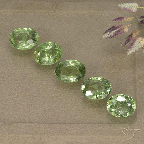 2.49ctw Natürlicher Waldgrün Demantoider Granat, Oval, VS-SI